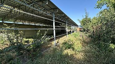 Продажа коттеджей и домов: Продаю дом 6 комнат Навес большой Газ Канализация центральная Вода — 15