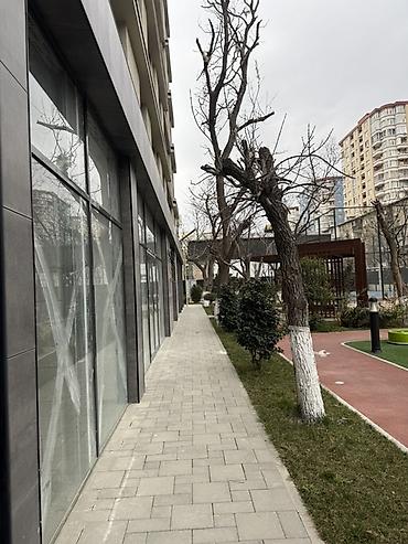 Kommersiya daşınmaz əmlakı: Whitestone Towers kompleksində kommersiya sahəsi - Müasir premium — 3