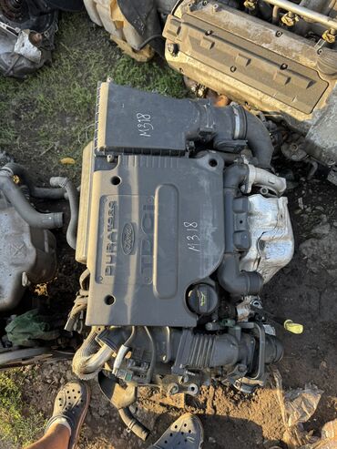 амортизатор задний: Двигатель Ford Fiesta 2004 Контрактный из Германии, в отличном