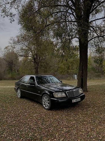 Mercedes-Benz C-Class: 1992 г., 3.2 л, Кол менен иштөөчү, Дизель — 2