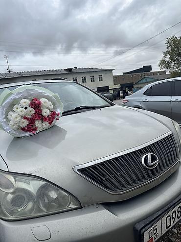 rx 2017: Lexus RX: 2005 г., Автомат, Газ, Внедорожник — 5