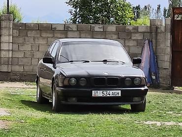 усы е34: BMW 5 series: 1995 г., 2.5 л, Механика, Бензин, Седан — 5