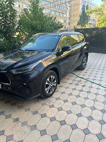 highlander 2017: Toyota Highlander: 2022 г., Бензин — 2