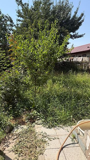 баня дархан ош: Эксклюзив! В ПРОДАЖЕ ДОМ 📍 Ж/м Арча-Бешик, Жоогазын / Магистраль — 7