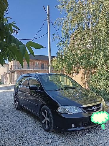 odyssey absolute: Honda Odyssey: 2003 г., 3 л, Автомат, Газ, Минивэн — 2