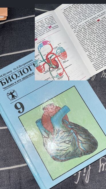 биология китеп 7 класс: Книги за 9 класс. Биология, физика, история Кыргызстана, черчение