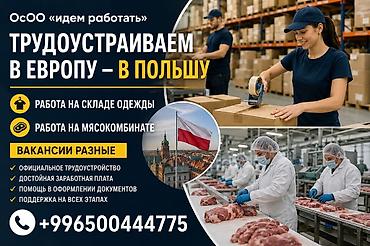 Упаковщики: Требуется Упаковщик, Оплата: Почасовая, Без опыта — 2