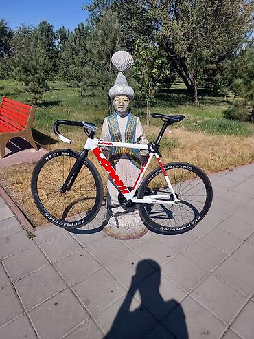Трековый велосипед Lowmi (фикс) з за 15 000 - Рама: алюминий