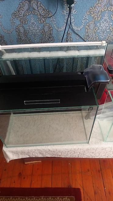 yumru akvarium satisi: Salam isdənilən ölçüdə akvarium yığıram nömrədə vhatsap var buyurun — 3