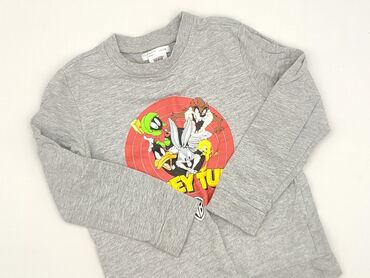 koszula lidl: Bluzka, Fox&Bunny, 5-6 lat, 110-116 cm, stan - Idealny