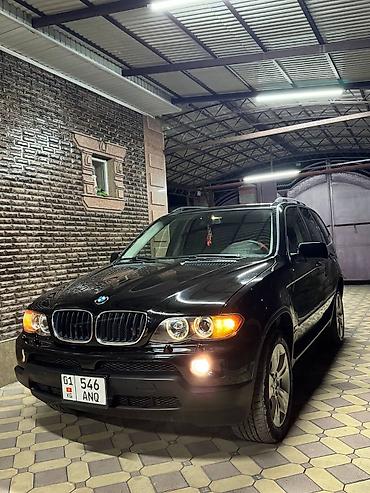 BMW: BMW X5: 2004 г., 3 л, Автомат, Бензин, Внедорожник — 13