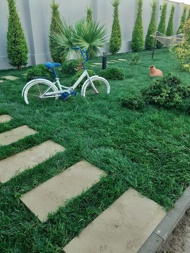 Toxumlar: Qazon satışı təbii və süni Qazonlarımız satışda mövcuddur təbii — 16