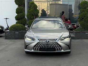 полики багажника 4runner: Lexus ES: 2023 г., 2.5 л, Автомат, Гибрид, Седан — 3