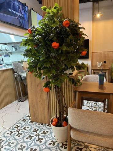 limon ağaçları: Portağal və ya limon meyvələri ilə bəzədilmiş süni ağac. Bu dekorativ