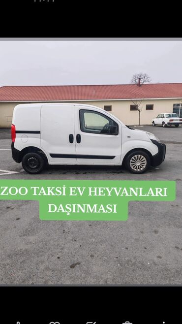 İtlər: Kanqal, 1 ay, Erkek, Sənədli, Ödənişli çatdırılma