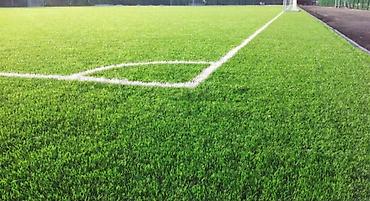 Газон: Искусственные газоны любых видов — 2