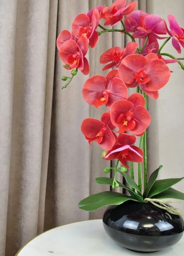 Декоративные цветы: Орхидея искусственная для декора в керамическом горшке Орхидея — 20
