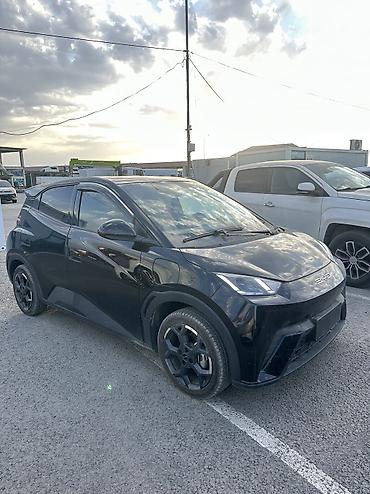 електра кар: BYD Seagull: 2025 г., 0.1 л, Автомат, Электромобиль, Хэтчбэк — 2