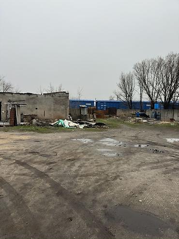 Кыймылсыз мүлк: 29 соток, Кызыл китеп — 9