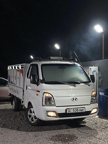 корейский внедорожник: Легкий грузовик, Hyundai, Стандарт, 3 т, Новый — 2