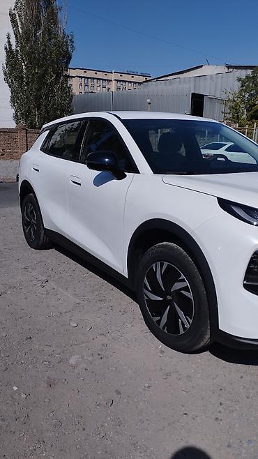 растоможен: Changan Qiyuan Q05: 2026 г., 0.1 л, Вариатор, Электромобиль, Кроссовер — 3