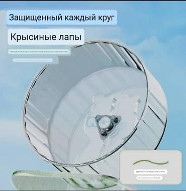 ош ишкаван: Прозрачное беговое колесо для грызунов - Подходит для сирийских — 5