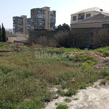 Torpaq sahələrinin satışı: Tikinti, Kupça (Çıxarış)