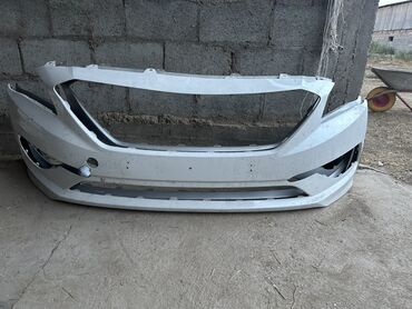 британская короткошерстная кошка купить: Бампер Передний Hyundai, Б/у