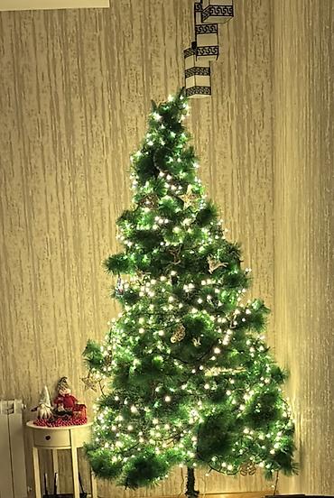 🎄 Süni yolka satılır! Hündürlüyü təxminən 2 metrdir. Yaxşı lalafo.az -da 🎄 Süni yolka satılır! Hündürlüyü təxminən 2 metrdir. Yaxşı