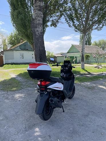 Скутеры: 150 куб. см, Бензин, Б/у — 5