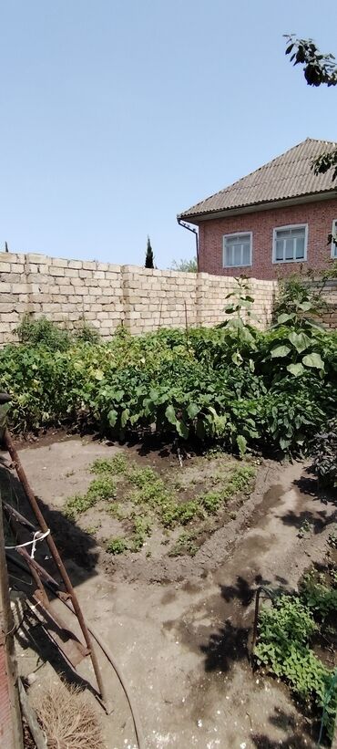 Həyət evləri və villaların satışı: 4 otaqlı, 89 kv. m, Kredit yoxdur, Orta təmir -da lalafo.az — 3 Həyət evləri və villaların satışı: 4 otaqlı, 89 kv. m, Kredit yoxdur, Orta təmir — 3