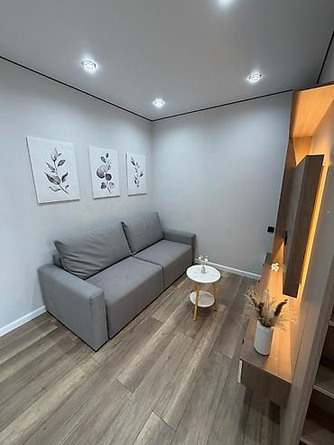 квартира 9мкр: 1 комната, 45 м², Технопарк 106 серия, 9 этаж, Евроремонт — 3