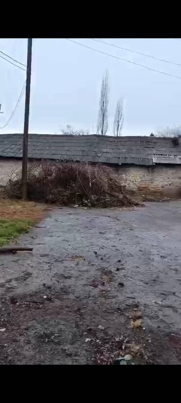 Kommersiya daşınmaz əmlakının satışı: Şəkidə fabrik satılır. Qiymətdə razılaşmaq. Yalnız real alıcılarla -da lalafo.az — 4 Kommersiya daşınmaz əmlakının satışı: Şəkidə fabrik satılır. Qiymətdə razılaşmaq. Yalnız real alıcılarla — 4