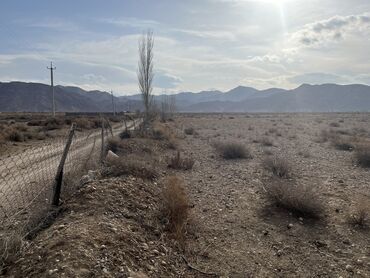 Продажа участков: 600 соток, Для сельского хозяйства, Красная книга, Тех паспорт, Договор купли-продажи — 7