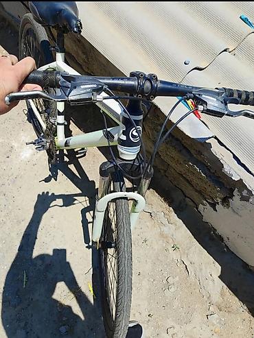 cd disk: Velosiped – Shimano 28 - lik - Çərçivə: yüngül alaşımlı, klassik MTB — 8