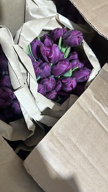 Букеты из живых цветов: Тюльпаны, срезка в крафт-упаковке. - Ассортимент оттенков — 6