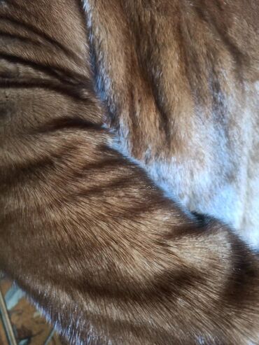 Шубы: Шуба, Норка, По колено — 12