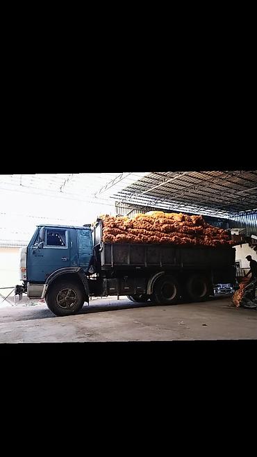 Кировец Тракторлор: КамАЗ самосвал 6x4 обмен на савок — 2
