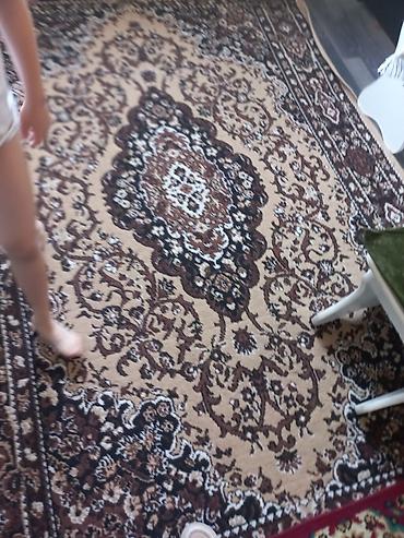 бгу диван: Ковры в классическом восточном стиле - Модели: несколько вариантов с — 1