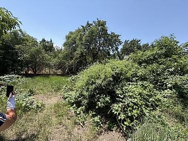 Продажа дачи: 3 комнаты, 60 м², 5 соток, Электричество, Холодная вода — 4