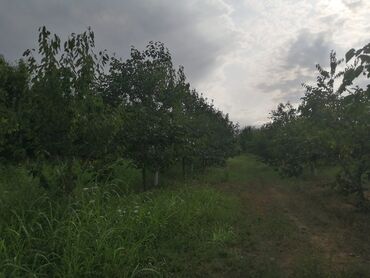 Torpaq sahələrinin satışı: 12 sot, Tikinti, Mülkiyyətçi, Kupça (Çıxarış) -da lalafo.az — 8 Torpaq sahələrinin satışı: 12 sot, Tikinti, Mülkiyyətçi, Kupça (Çıxarış) — 8