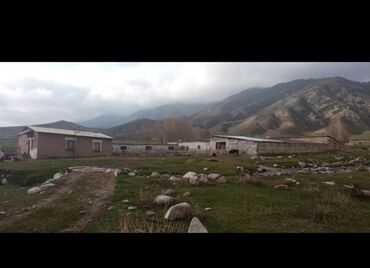 Сельхоз предприятия: Продаётся кашара Иссык-Кульский район село Ананьево. Общая территория at lalafo.kg — 5 Сельхоз предприятия: Продаётся кашара Иссык-Кульский район село Ананьево. Общая территория — 5