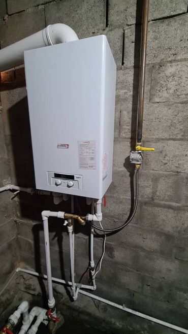 Газовые котлы: Газовый котел Protherm Lynx (Рысь) Имеется Сервисный Центр! 24 мес — 18