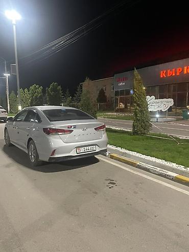 outback wilderness: Hyundai Sonata: 2020 г., 2 л, Автомат, Газ, Седан — 3