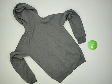 cedar wood state sweter: Cedar Wood State, Bluza z kapturem damska, rozmiar XS — 3