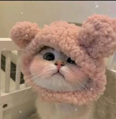 нужен няня: Требуется Няня Неполный рабочий день — 1