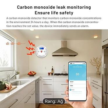 desler: Wi-Fi Karbon Monoksid (CO) Alarmı – Ağ rəng - Karbon monoksid — 2
