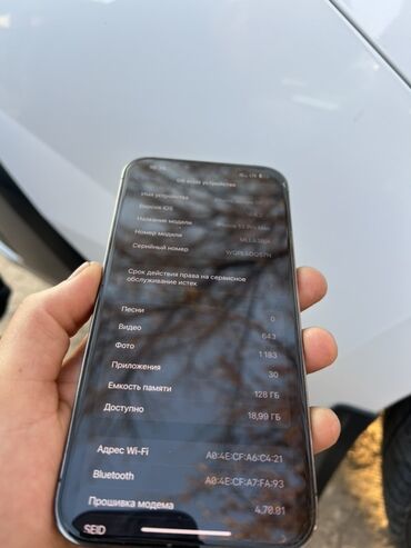 Apple iPhone: IPhone 13 Pro Max, Б/у, Графит, Чехол, 81 % — 10