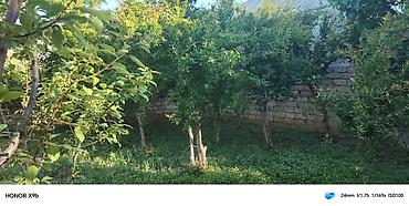 torpaq gence: 6 sot, Kənd təsərrüfatı, Kupça (Çıxarış) — 8