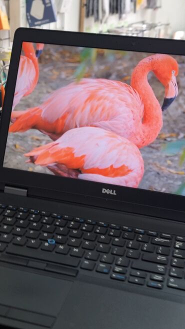 işlənmiş noutbukların alışı: İşlənmiş Dell Latitude, 15.6 ", Intel Core i5, 256 GB